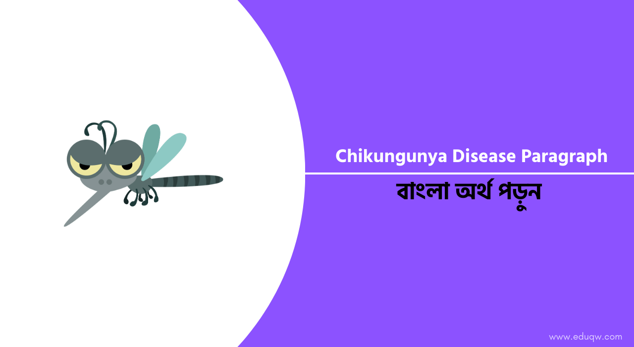 Chikungunya Disease Paragraph 2024 বাংলা অর্থসহ